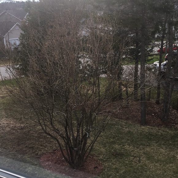 Meet your Posher, Kevin - Picture 1 of 1